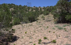 Tres Amigos, Placitas, NM 87043