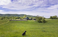 241 Kestrel Corner Ln, Lewisburg, WV 24901