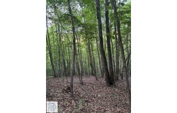 Martinsville, VA 24112