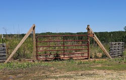 000 Pea Ridge Rd, Waterloo, AL 35677