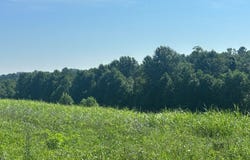 Tract #16 Statham Rd, Liberty, KY 42539