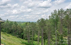 237 Westridge Farm Road unit: 22, Asheville, NC 28804