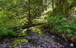 23380 SE HOWLETT Rd, EagleCreek, OR 97022