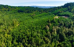 McCauley Ridge Dr, Springfield, OR 97478