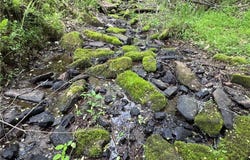 X Green Meadow Lane, Ararat, NC 27007