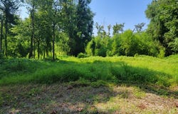 000 Rokofee Road, Vidalia, LA 71373