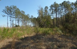 C D Rayborn Road, Jayess, MS 39641