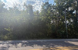 S 5 Highway lot: 15 & 2A, Norfork, AR 72658