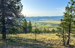 FS Rd 613, John Day, OR 97845