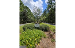 0 W. Waverly, White Oak, GA 31568