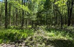 1.7 Elwood Rd., Vienna, NY 13042