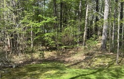 Summit Street, Ogunquit, ME 03907