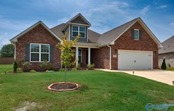 347 Kendall Downs Boulevard, Toney, AL 35749