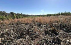 St Rt 399 lot: 1, Dunlap, TN 37327