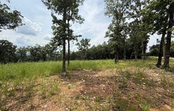 2.7 Acres County Road 245, Pittsburg, MO 65724