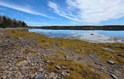 125 Aspen Lane lot: 4, Steuben, ME 04680