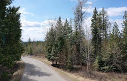 228 Arrowhead Drive, Whitefish, MT 59937