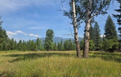 116 Klakken Road, Noxon, MT 59853