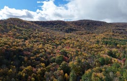 00 Garfield Rd, Phoenicia, NY 12464