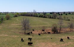 0 Farm Road 2040, Crane, MO 65633