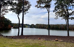 DOVEY Road, SPOTSYLVANIA, VA 22551