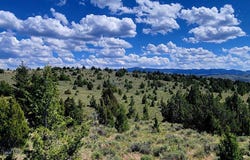 Alder, MT 59710