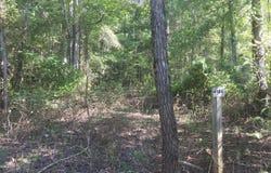 55-56 Cedar Point Drive, Buffalo Junction, VA 24529