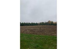 Tbd Harrison Avenue NE, Racine, MN 55967