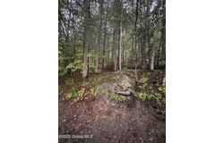 1374 Tall Pines Way, Argyle, NY 12809