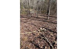 TBD Joy Lane Parcel B, Mena, AR 71953-9999