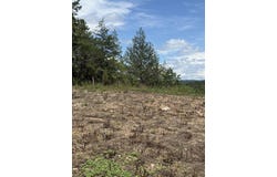 12952 Hwy 5 Highway, Norfork, AR 72658