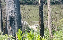 736 English Heifer Cove Road, Flat Rock, NC 28731