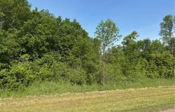 Tbd Severson NW, Evansville, MN 56326