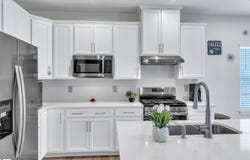1040 Horse Whisper Run, Landrum, SC 29356