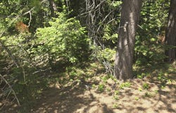 26 Diamond Peak DR, Crescent Lake, OR 97733