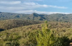 8470-255 W Webster Road, Wilhoit, AZ 86332
