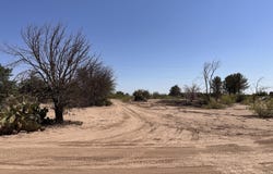 6535 County Road B10, La Mesa, NM 88044