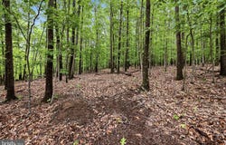 SOTHEBY COURT, WINCHESTER, VA 22602