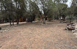 2181 Hashknife Drive, Overgaard, AZ 85933