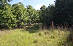 760 VZ County Road, Eustace, TX 75124