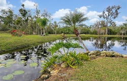 LAKE BUFFUM RD   E, FORT MEADE, FL 33841