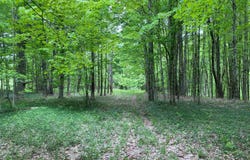 0 White Road, Parish, NY 13131
