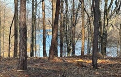 55 BUCKNERS LANE (COMPASS COVE AT LAKE ANNA), MINERAL, VA 23117