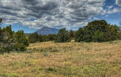 Walsenburg, CO 81089