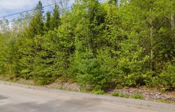 Lot 14 Grant Road, Orono, ME 04473