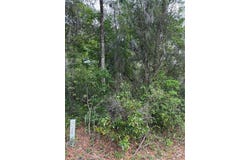 Tbd LARCH COURSE, OCALA, FL 34480