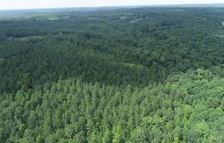 Genito Parkway, Jetersville, VA 23083