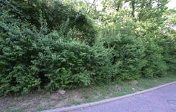 43.5-45.5 Kentucky Drive, Newport, KY 41071