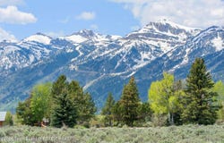 505 E TRAP CLUB Road, Jackson, WY 83012