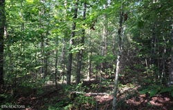 523 Rudd Hollow Rd, Townsend, TN 37882